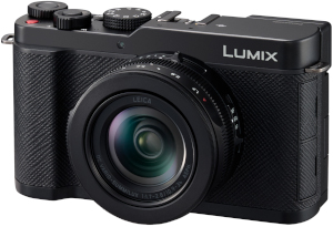 LUMIX L10